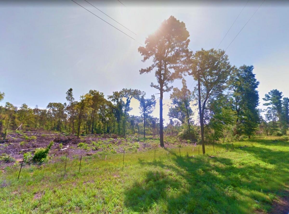 Picture of Residential Land For Sale in Avinger, Texas, United States