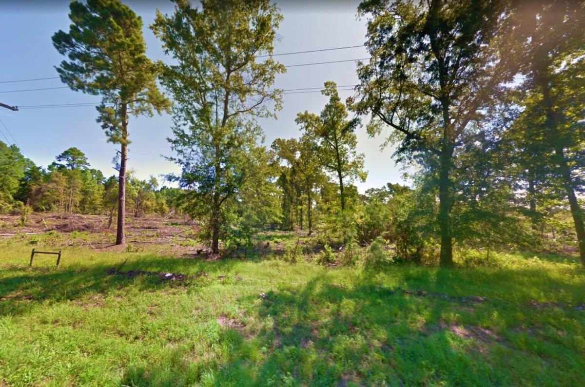 Picture of Residential Land For Sale in Avinger, Texas, United States