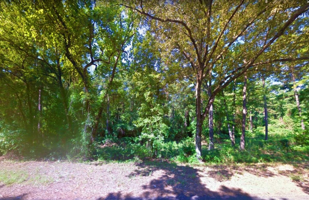 Picture of Residential Land For Sale in Avinger, Texas, United States