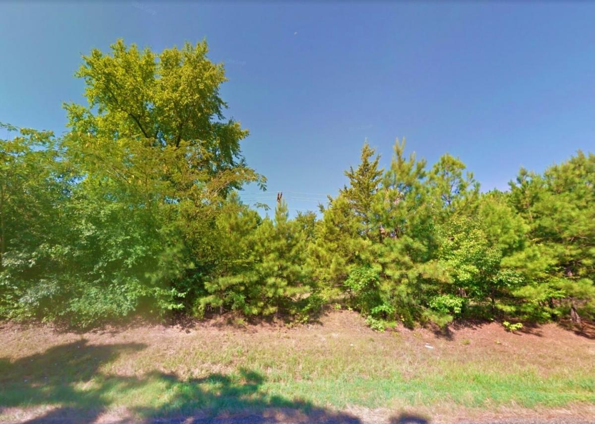 Picture of Residential Land For Sale in Avinger, Texas, United States