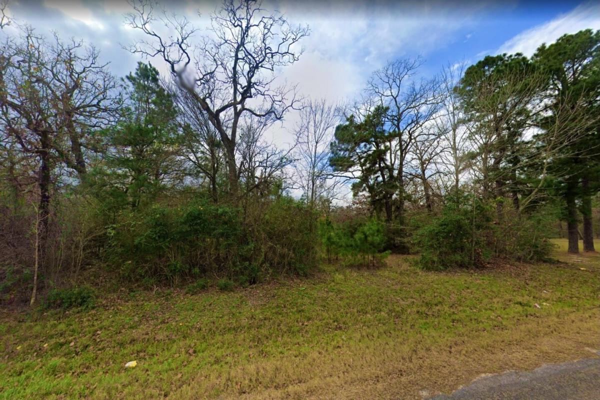 Picture of Residential Land For Sale in Harleton, Texas, United States