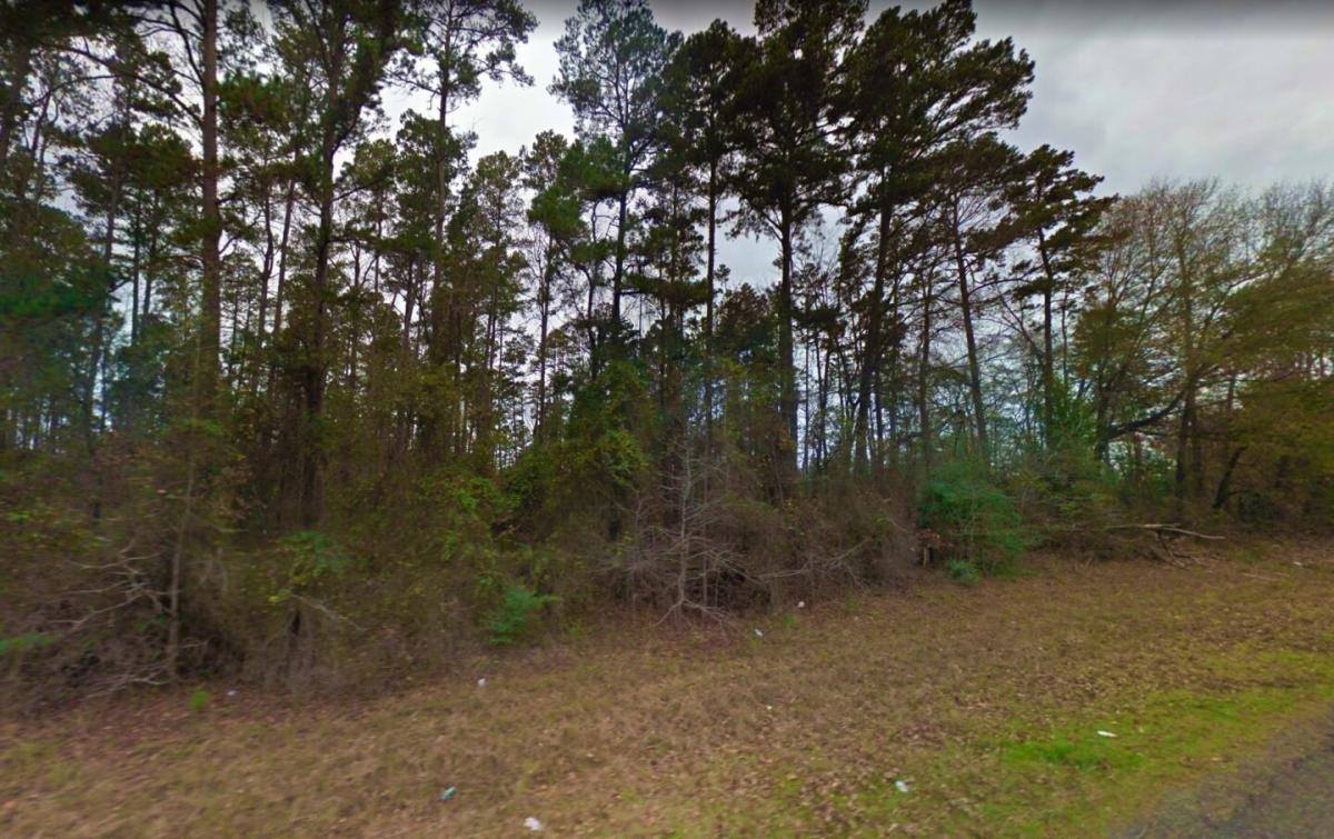 Picture of Residential Land For Sale in Harleton, Texas, United States