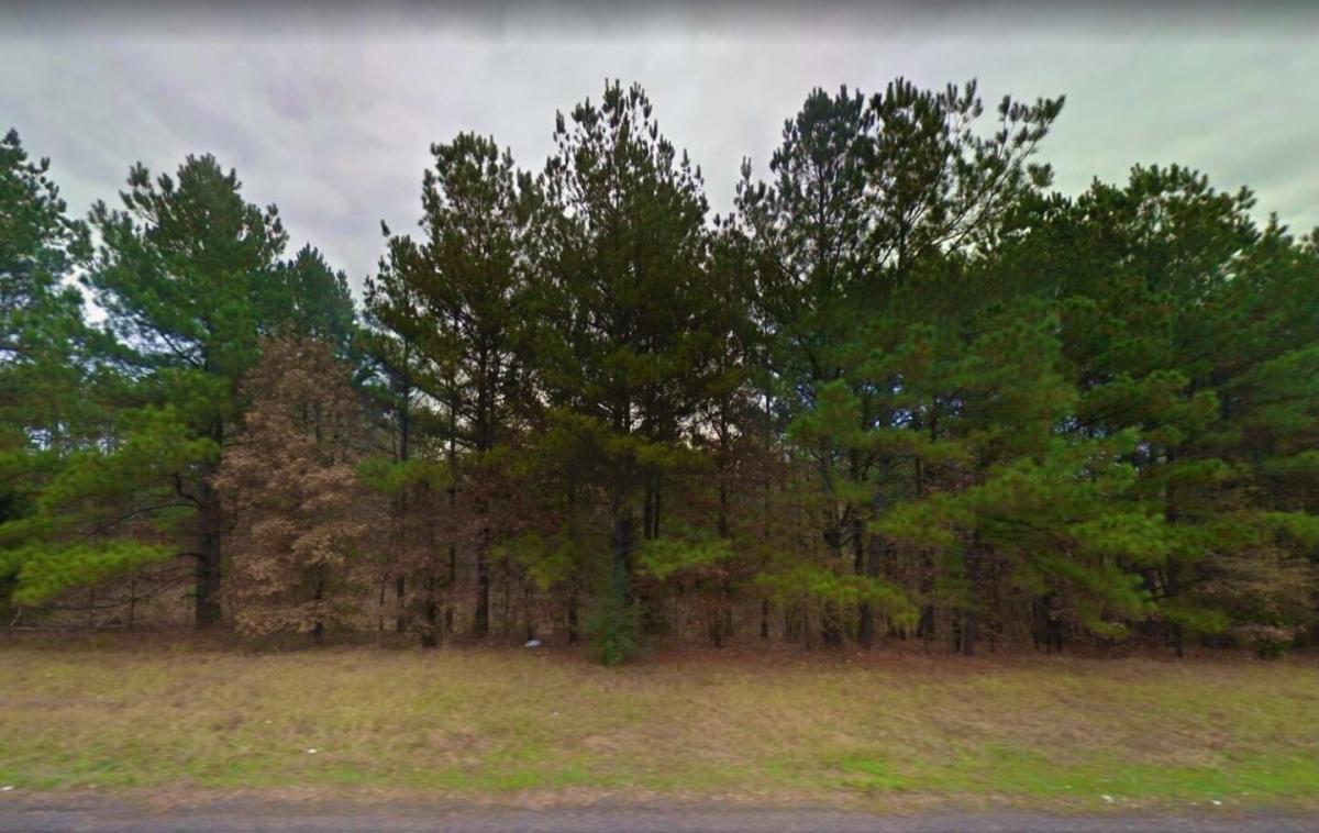 Picture of Residential Land For Sale in Harleton, Texas, United States