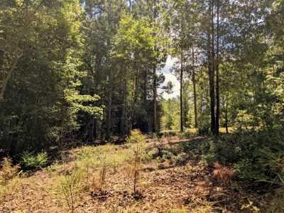 Residential Land For Sale in Trinity, Texas