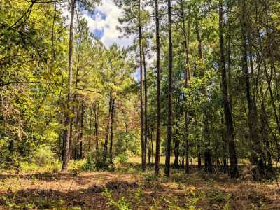 Residential Land For Sale in Trinity, Texas