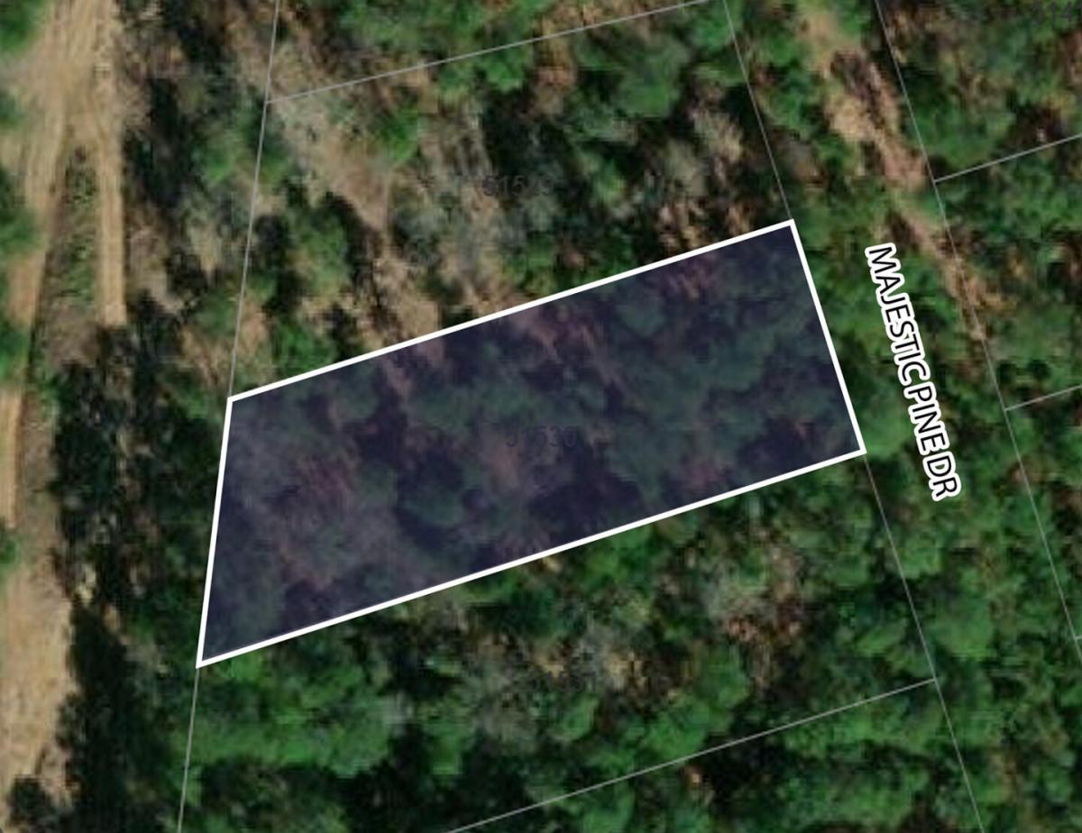 Picture of Residential Land For Sale in Bastrop, Texas, United States