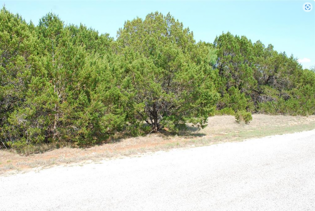 Picture of Residential Land For Sale in Whitney, Texas, United States