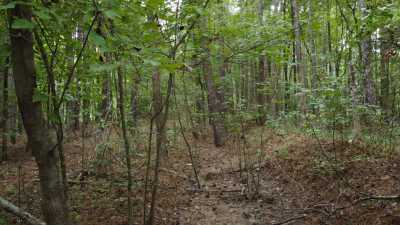 Residential Land For Sale in Alexander, Arkansas