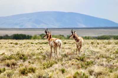 Residential Land For Sale in La Jara, Colorado