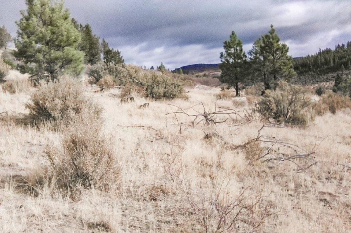 Picture of Residential Land For Sale in Chiloquin, Oregon, United States