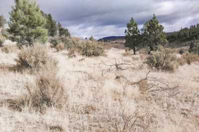 Residential Land For Sale in Chiloquin, Oregon