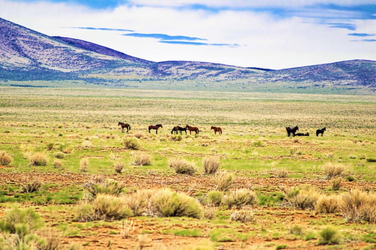 Picture of Residential Land For Sale in Sanford, Colorado, United States