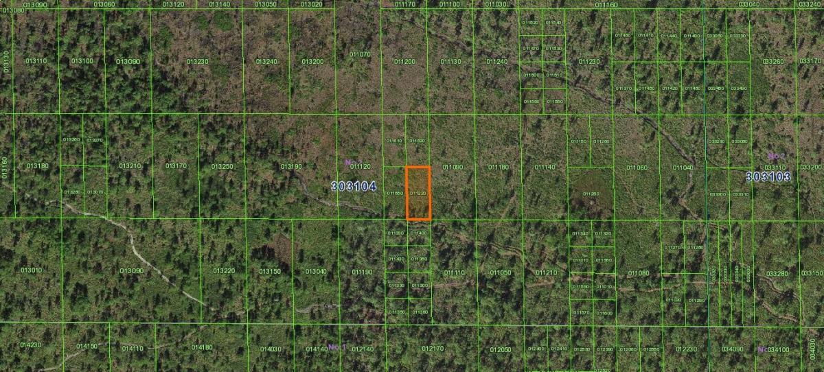 Picture of Residential Land For Sale in Lake Wales, Florida, United States