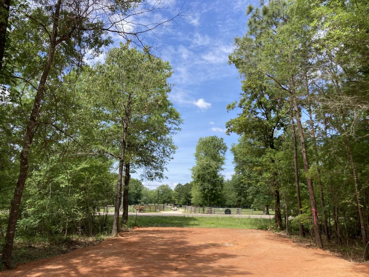 Picture of Residential Land For Sale in Livingston, Texas, United States