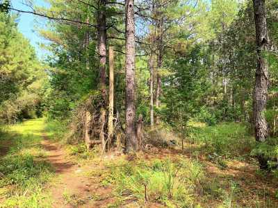 Residential Land For Sale in Wiergate, Texas