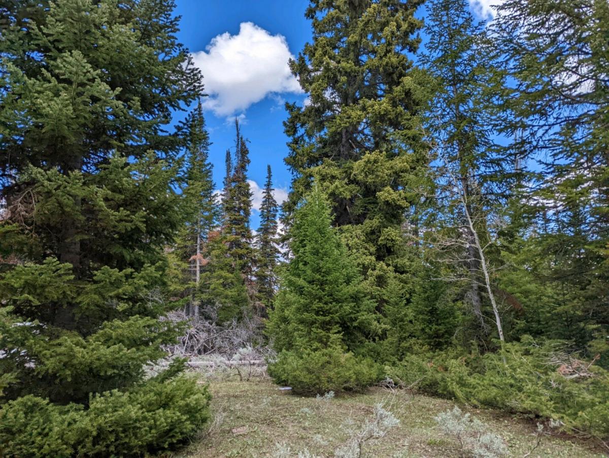 Picture of Residential Land For Sale in Kemmerer, Wyoming, United States