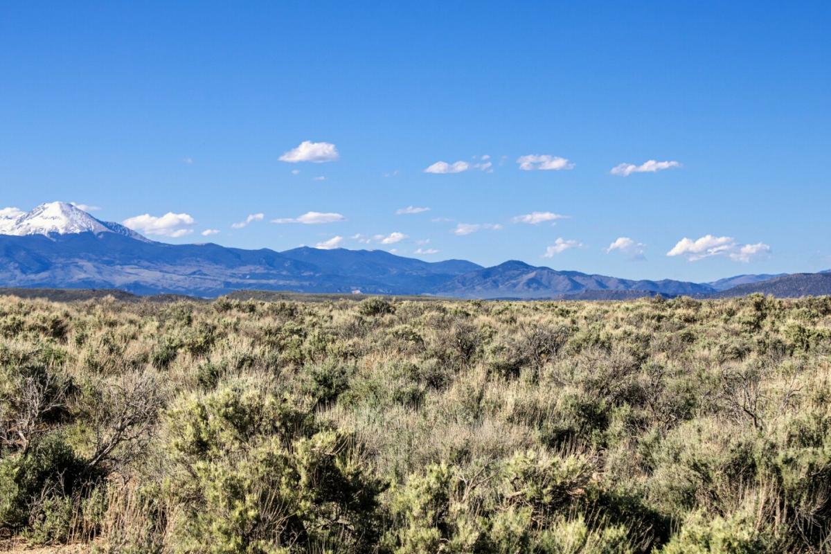 Picture of Residential Land For Sale in San Luis, Colorado, United States