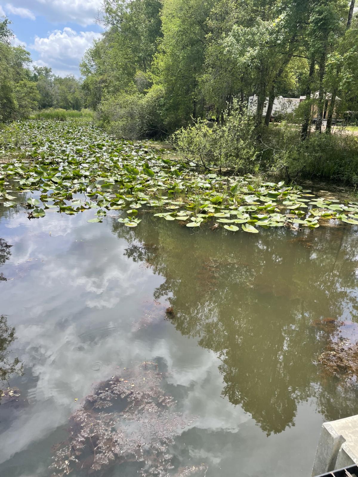 Picture of Residential Land For Sale in Webster, Florida, United States