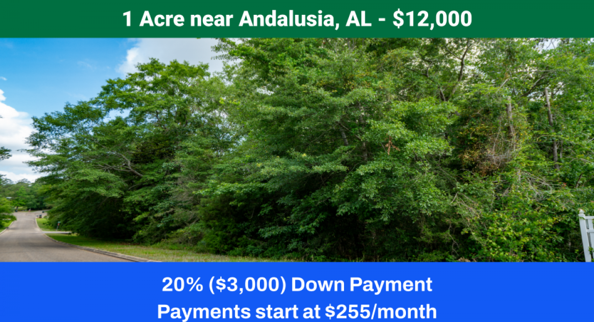 Picture of Residential Land For Sale in Andalusia, Alabama, United States