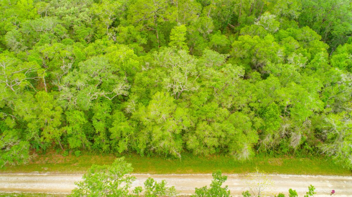 Picture of Residential Land For Sale in Webster, Florida, United States