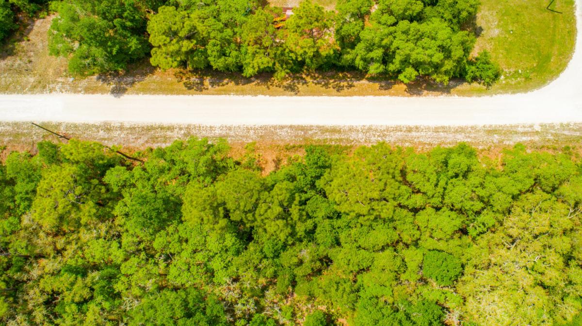 Picture of Residential Land For Sale in Webster, Florida, United States