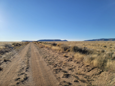 Residential Land For Sale in San Luis, Colorado