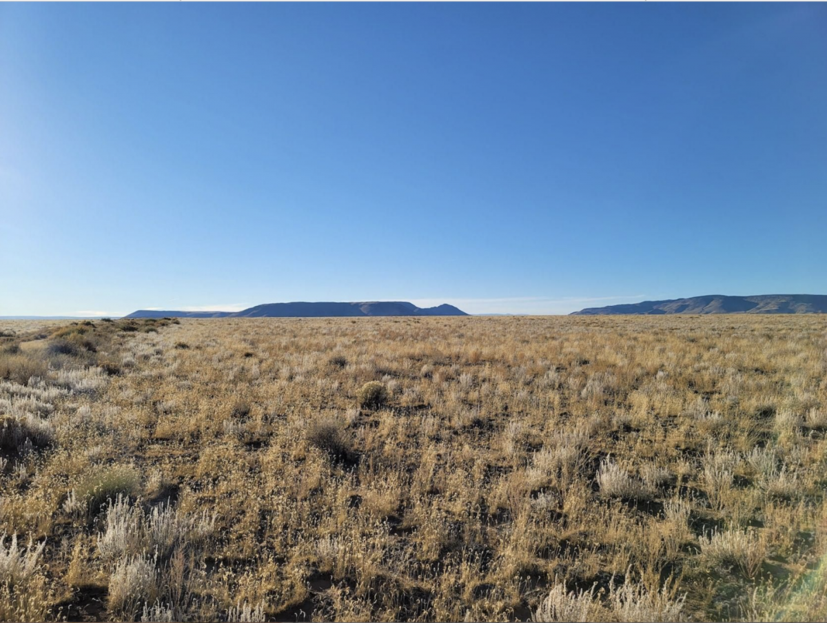 Picture of Residential Land For Sale in San Luis, Colorado, United States