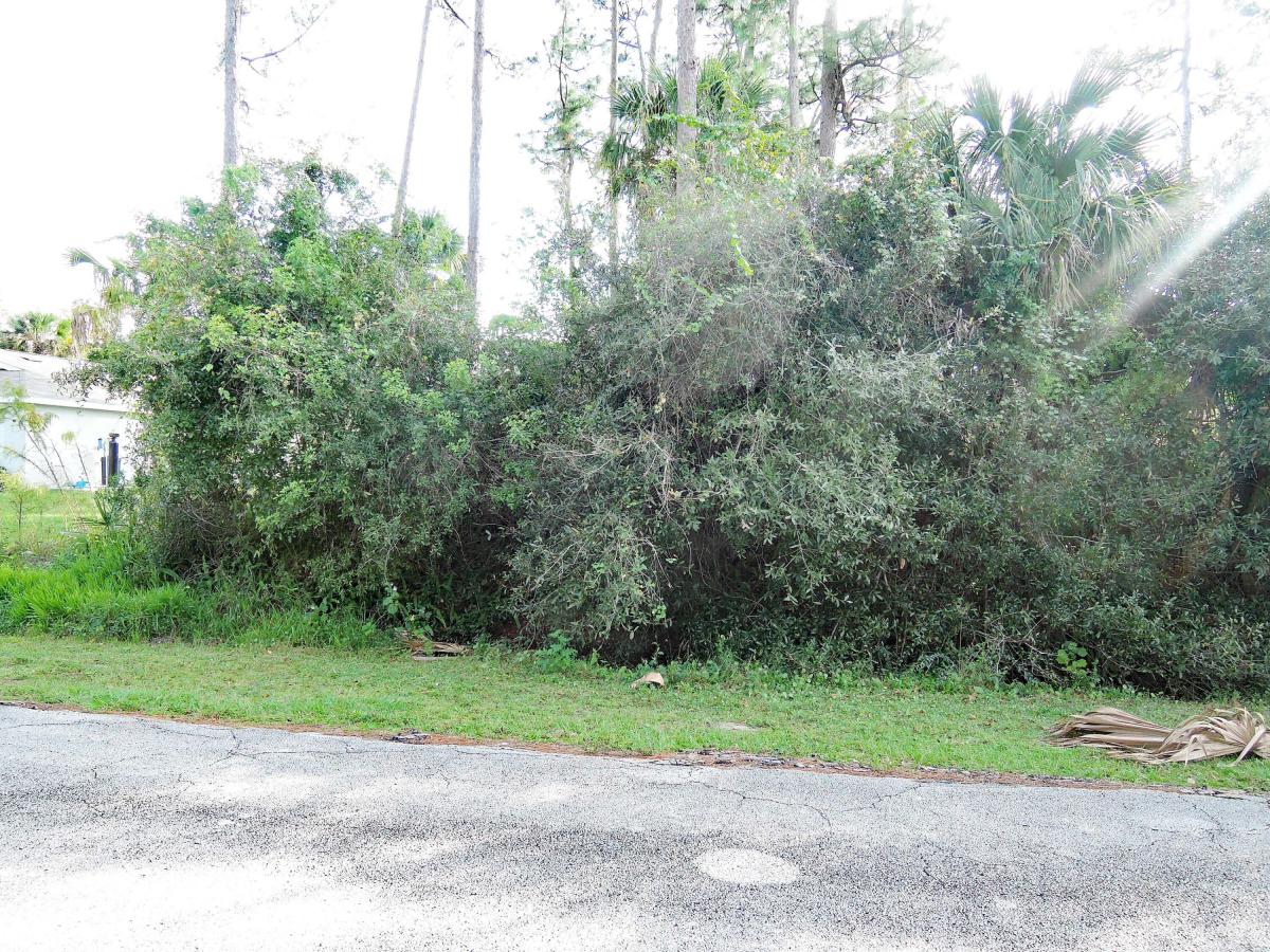 Picture of Raw Land For Sale in Fort Pierce, Florida, United States