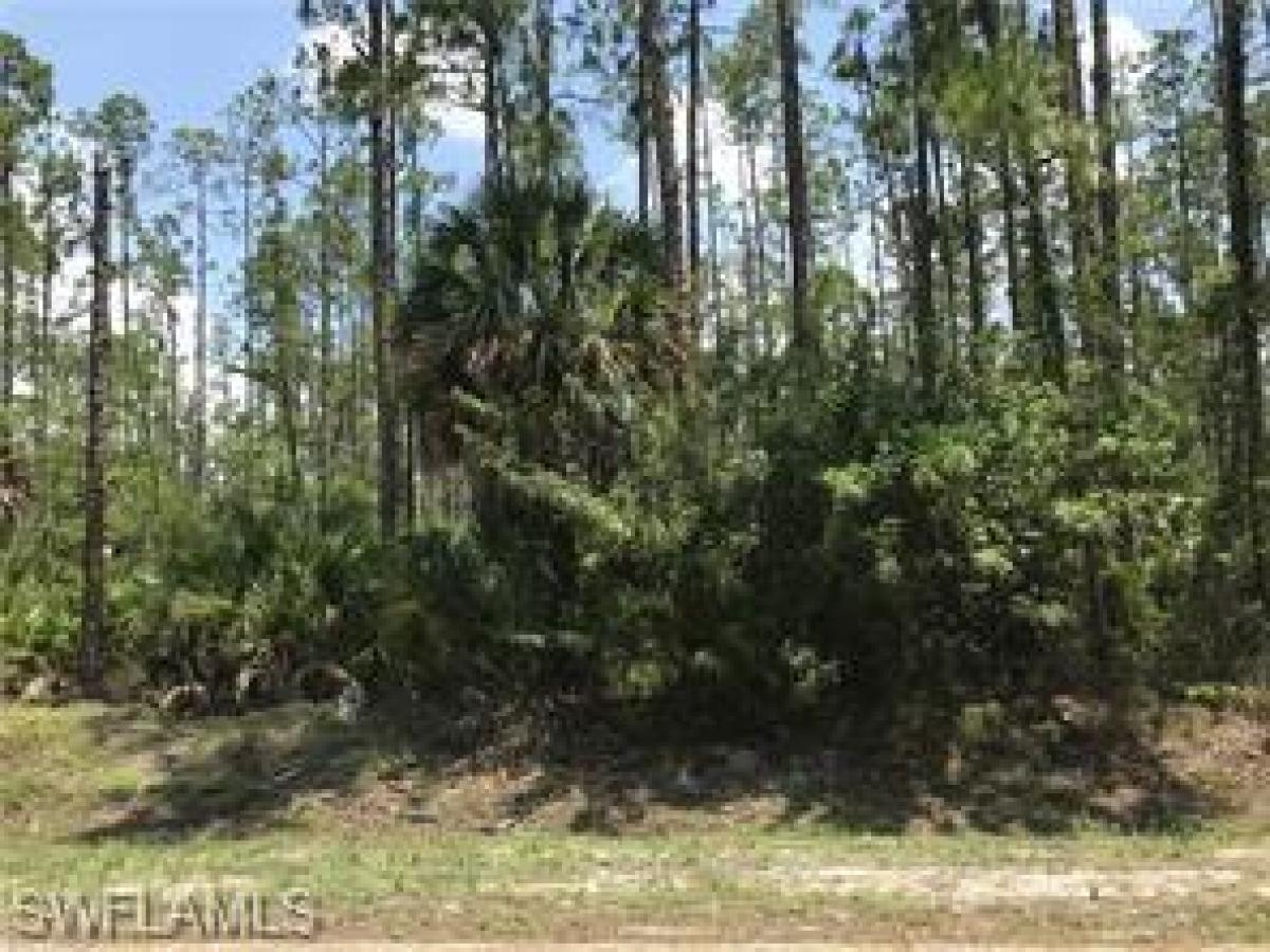 Picture of Raw Land For Sale in Naples, Florida, United States