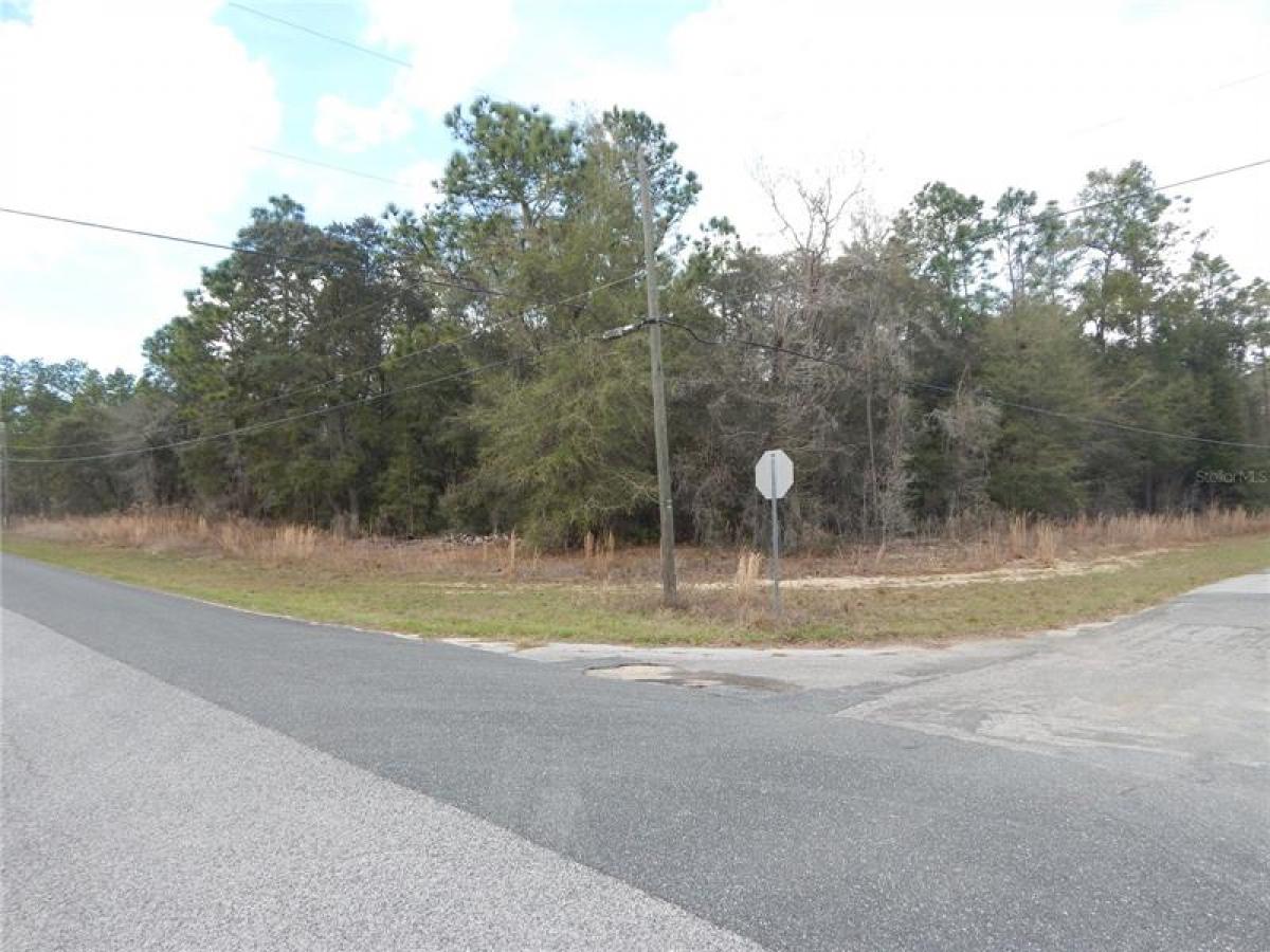 Picture of Raw Land For Sale in Citrus Springs, Florida, United States