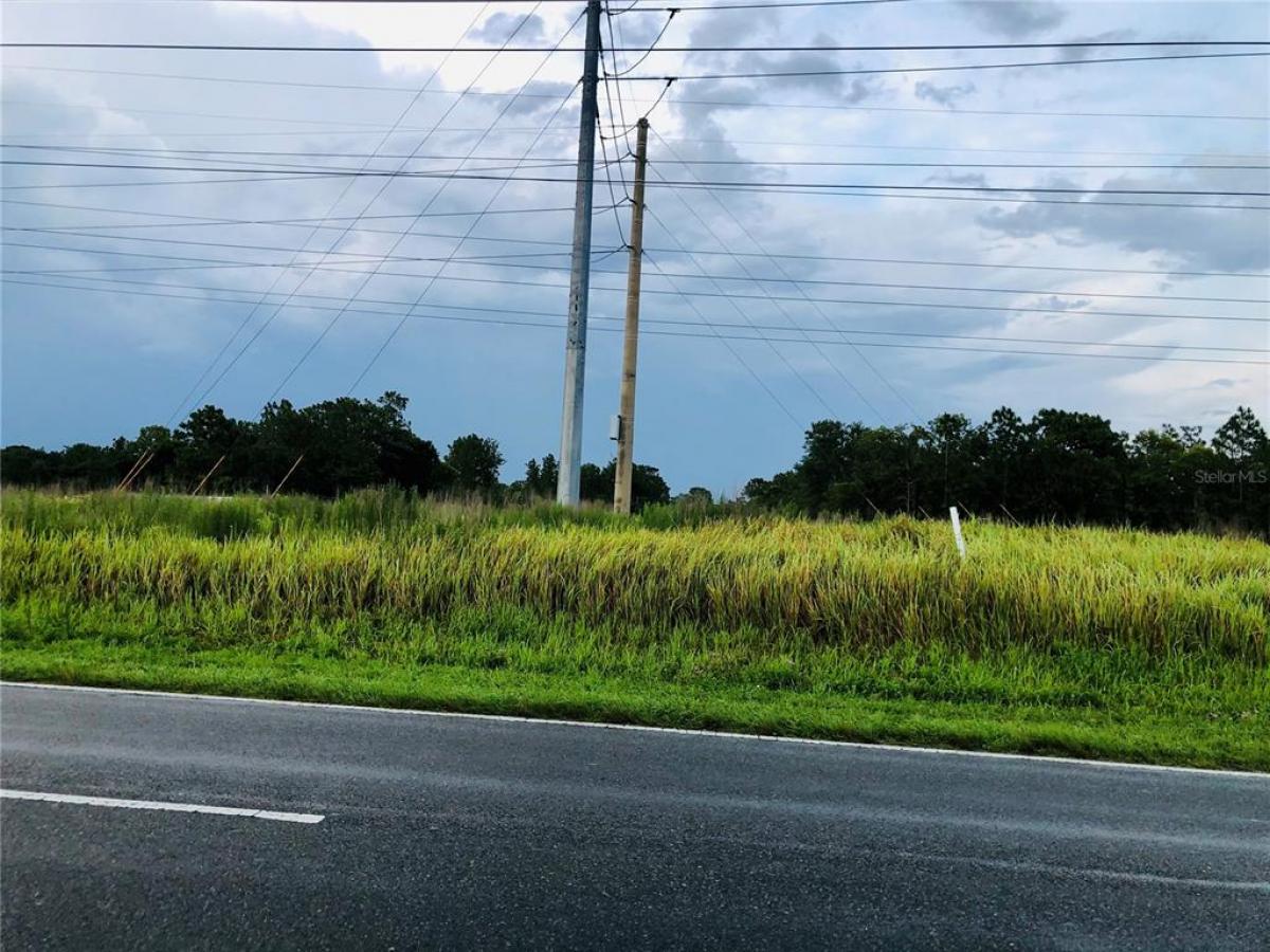 Picture of Raw Land For Sale in Ocala, Florida, United States