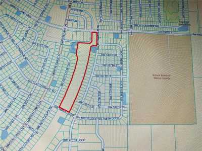 Raw Land For Sale in Ocala, Florida