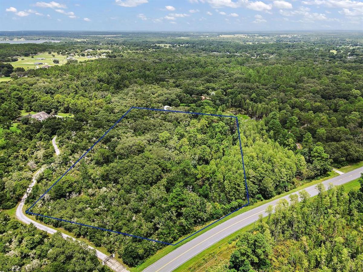 Picture of Raw Land For Sale in Eustis, Florida, United States