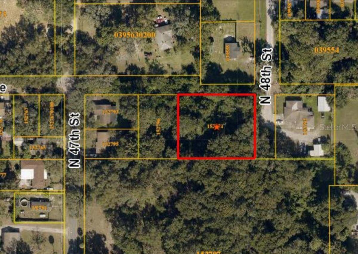 Picture of Raw Land For Sale in Tampa, Florida, United States