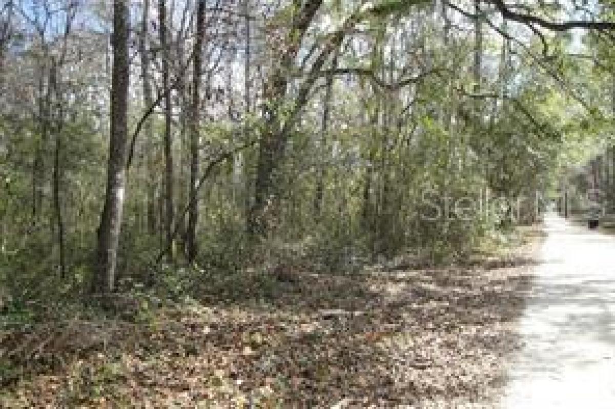 Picture of Raw Land For Sale in Gainesville, Florida, United States