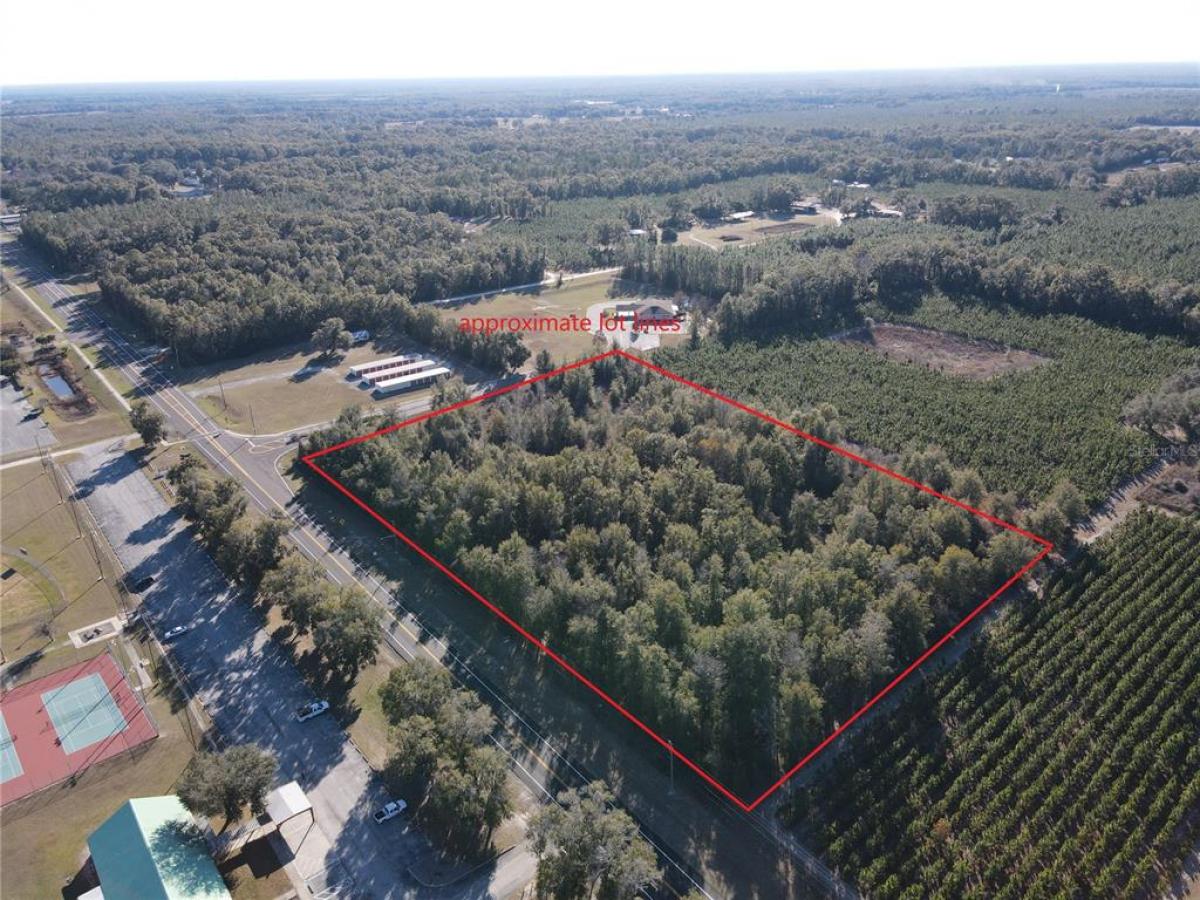 Picture of Raw Land For Sale in Fort White, Florida, United States