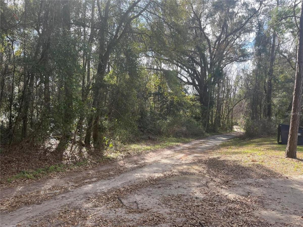 Picture of Raw Land For Sale in Gainesville, Florida, United States