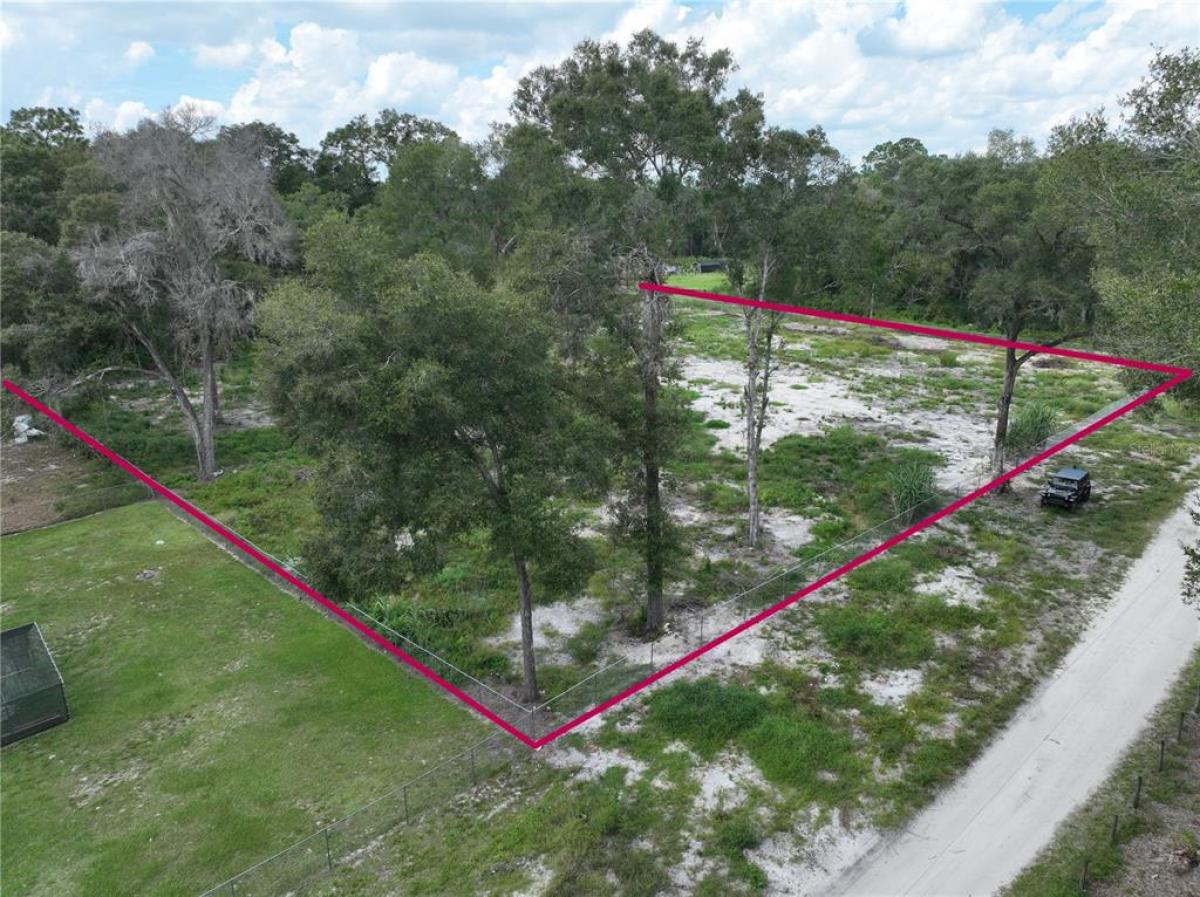 Picture of Raw Land For Sale in Summerfield, Florida, United States