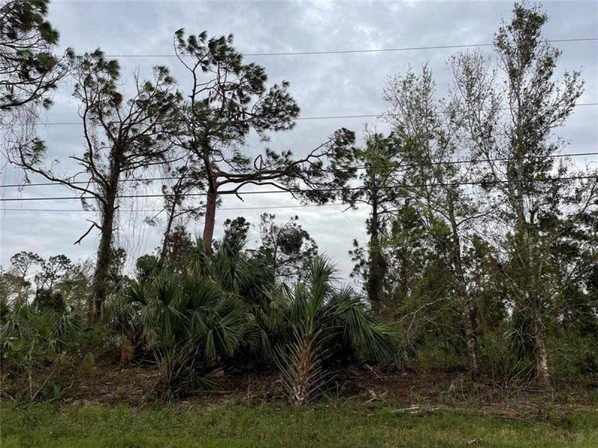 Picture of Raw Land For Sale in North Port, Florida, United States