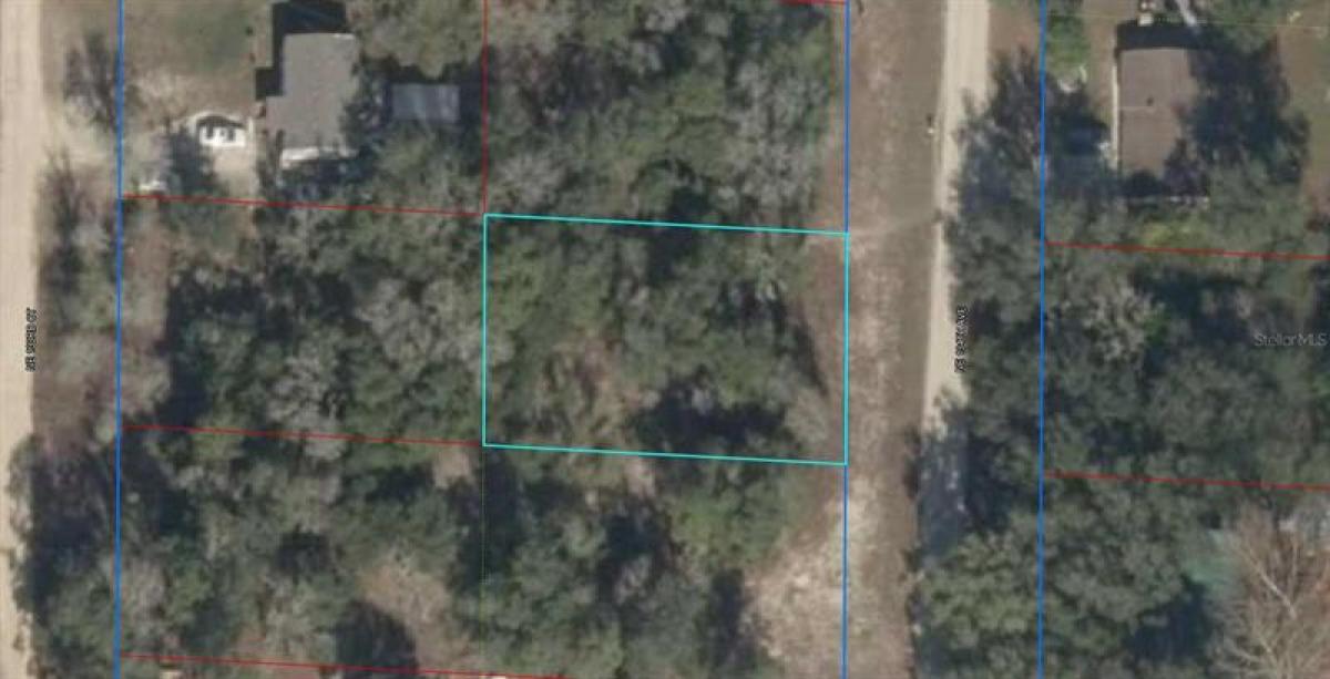 Picture of Raw Land For Sale in Williston, Florida, United States