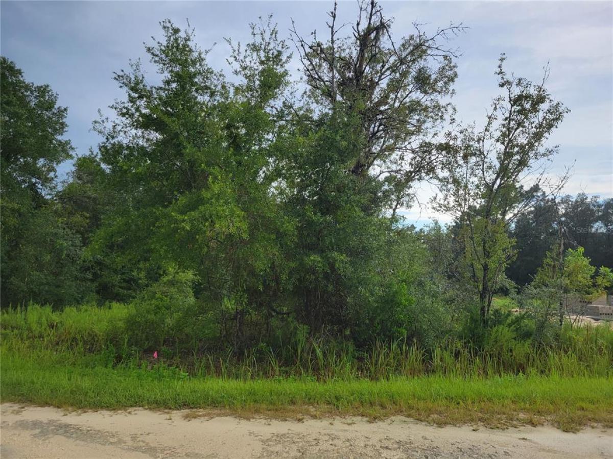 Picture of Raw Land For Sale in Ocala, Florida, United States