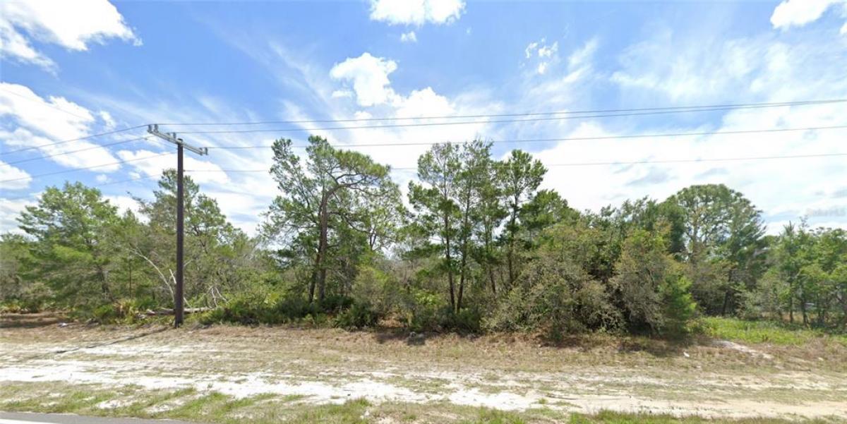 Picture of Raw Land For Sale in Sebring, Florida, United States