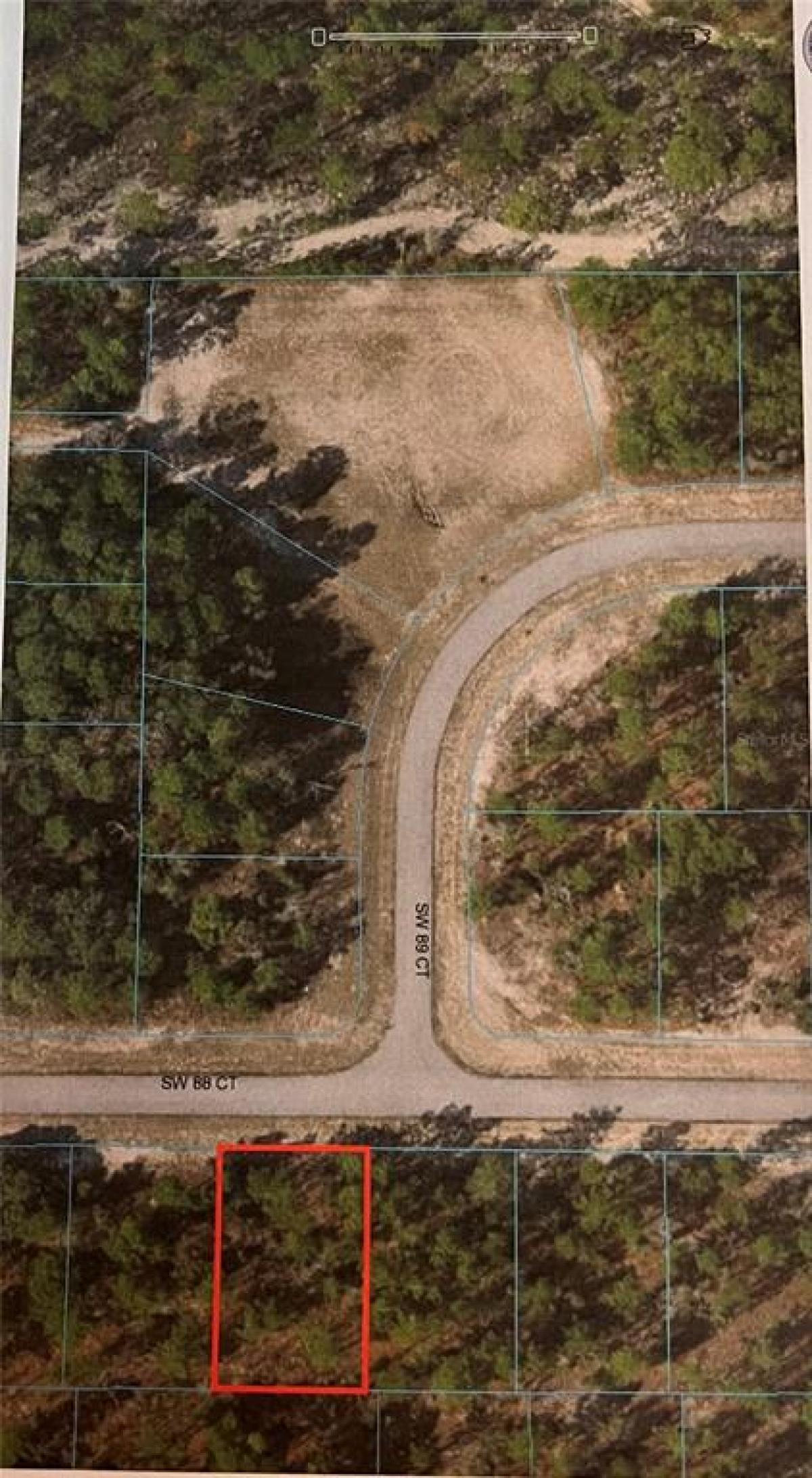 Picture of Raw Land For Sale in Dunnellon, Florida, United States