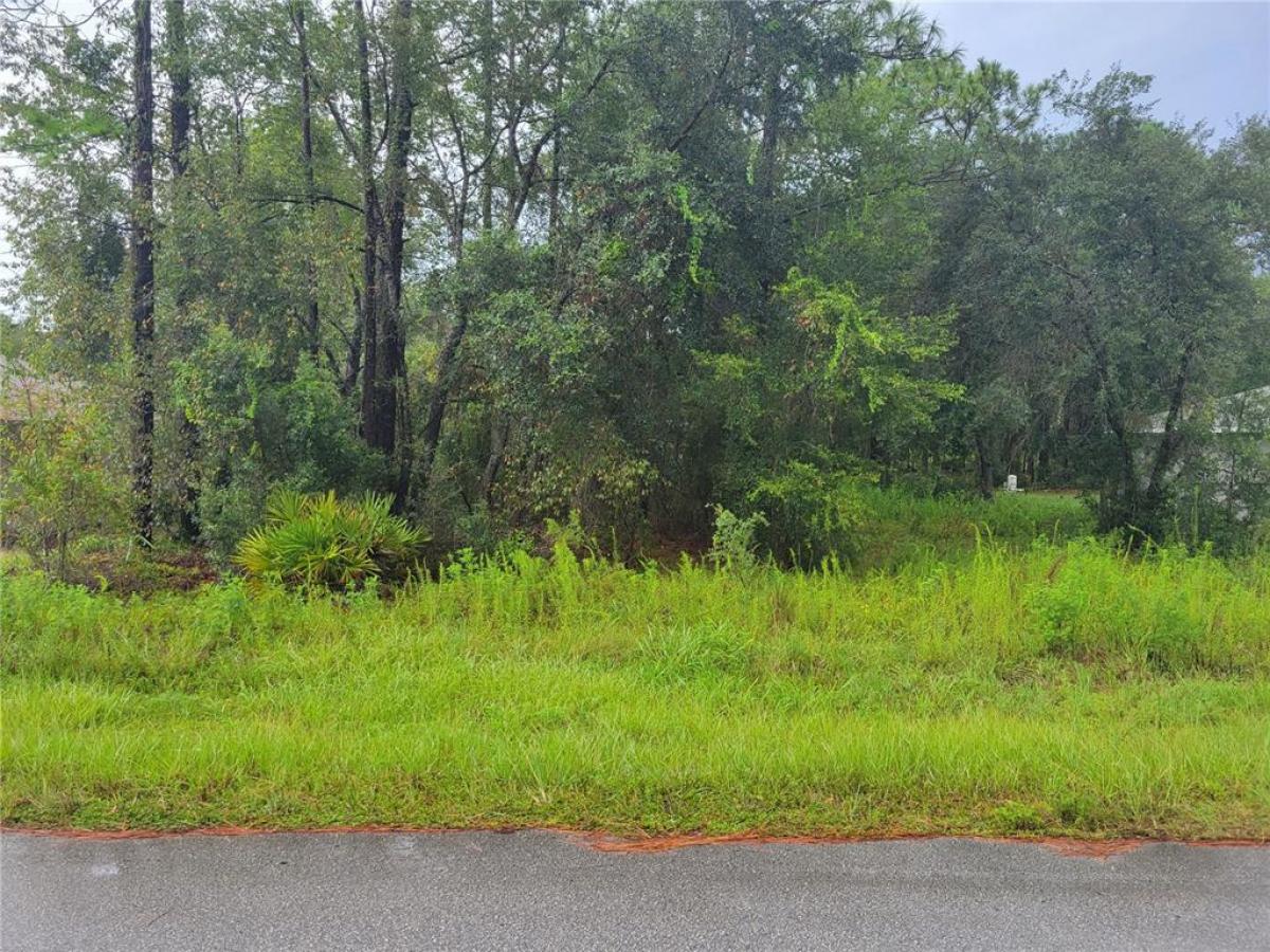 Picture of Raw Land For Sale in Ocala, Florida, United States