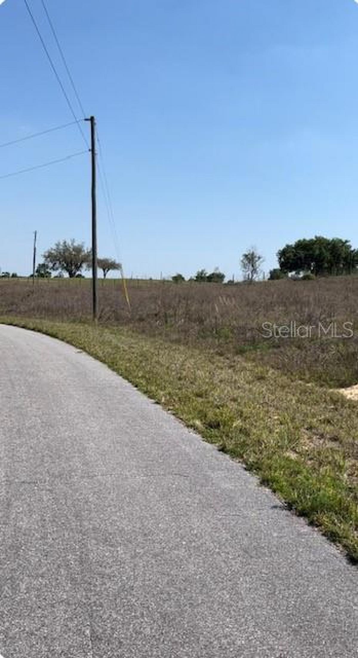 Picture of Raw Land For Sale in Ocklawaha, Florida, United States