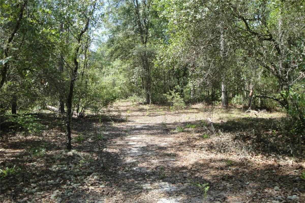 Picture of Raw Land For Sale in Branford, Florida, United States