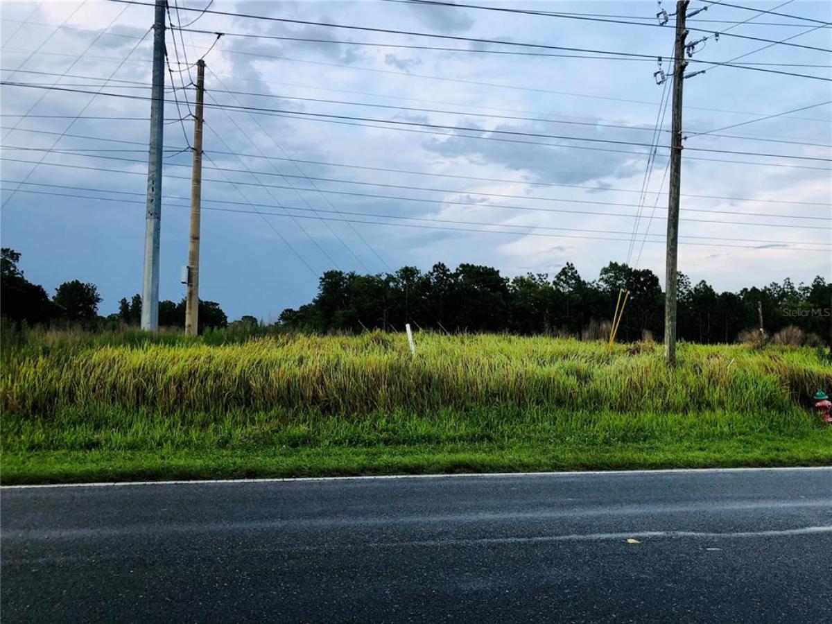 Picture of Raw Land For Sale in Ocala, Florida, United States