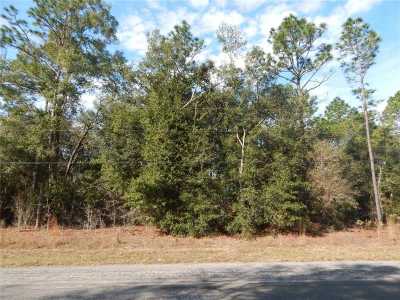 Raw Land For Sale in Citrus Springs, Florida