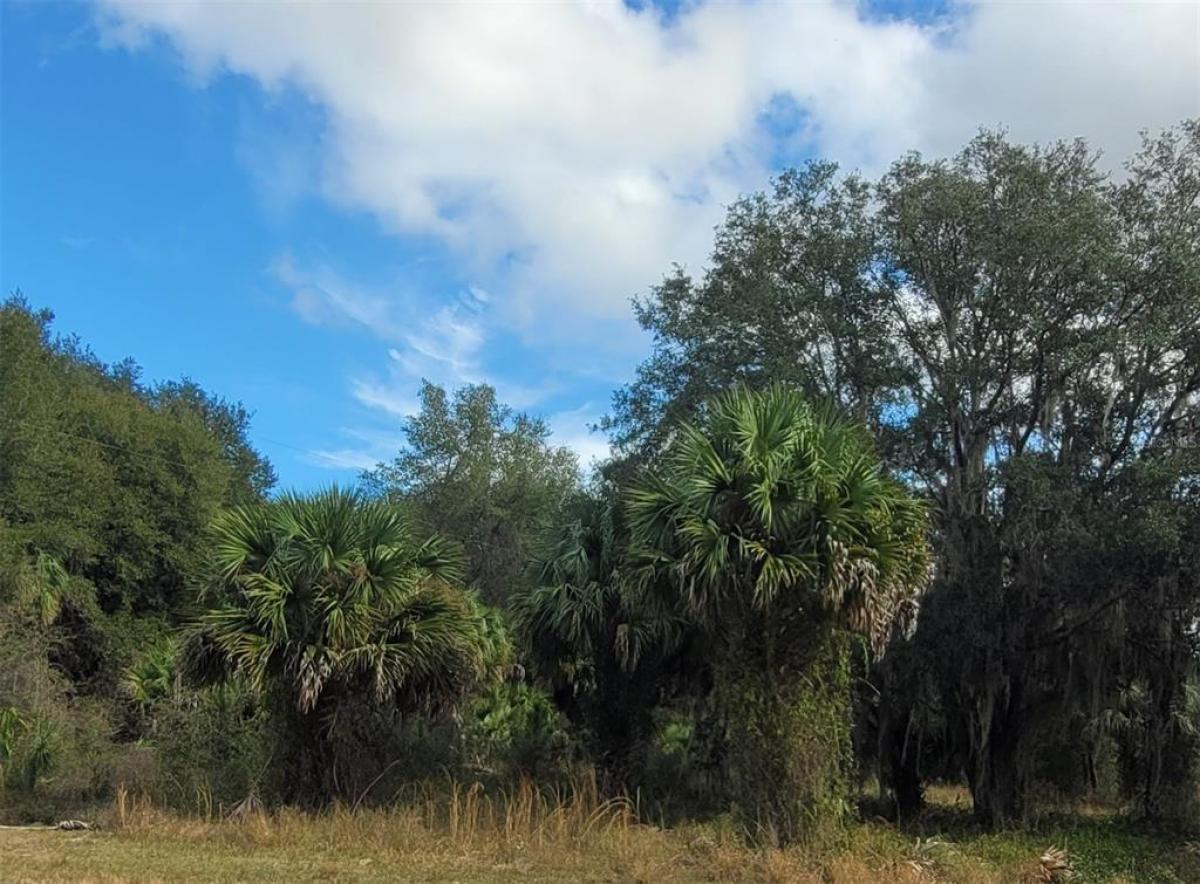 Picture of Raw Land For Sale in Leesburg, Florida, United States