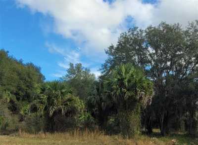 Raw Land For Sale in Leesburg, Florida